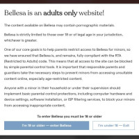 Bellesa: 여성 친화 성인 영상·에로틱 스토리